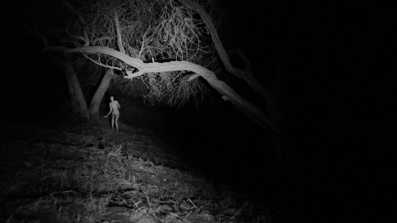 DEATH POSTURES AND UNDERGROWTH