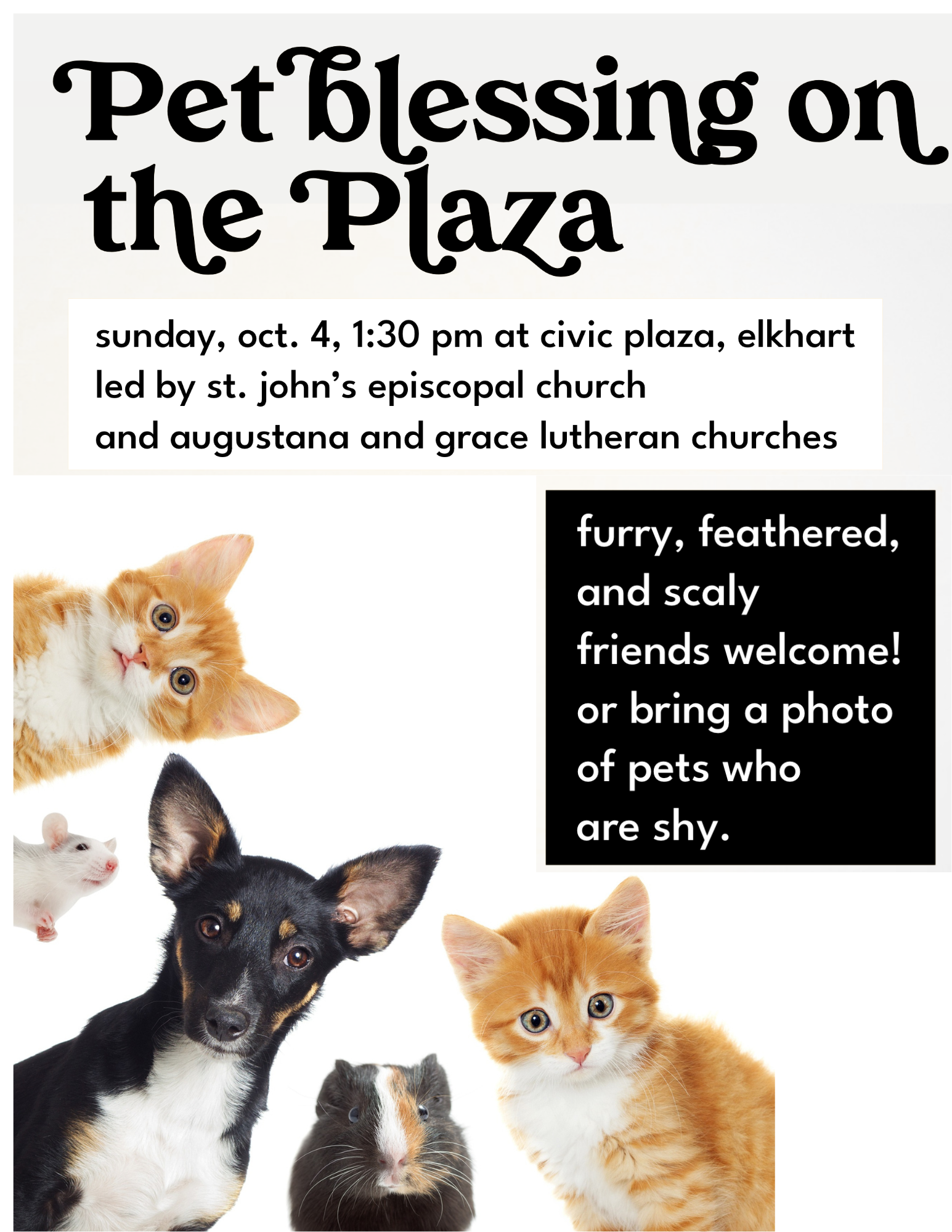 Pet Blessing on Civic Plaza
