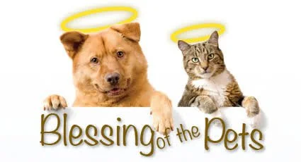 Cat and Dog with Halos for pet blesssing