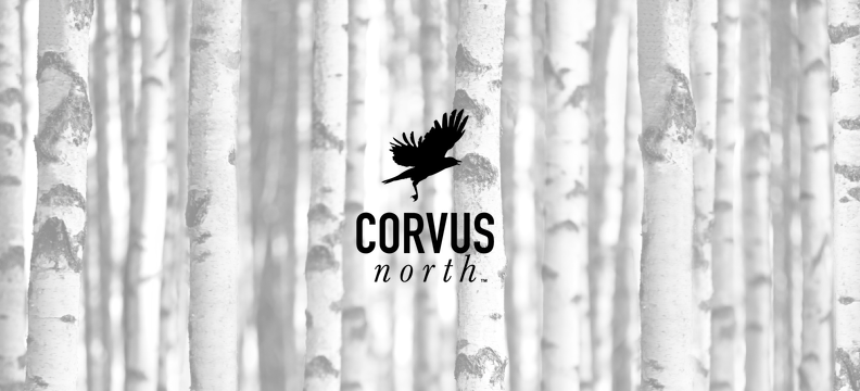  Jennifer started Corvus North to put her fundraising and marketing experience in nonprofit arts, education, health care and hunger relief to work for vital causes. She helps nonprofit organizations raise funds to meet their missions. 