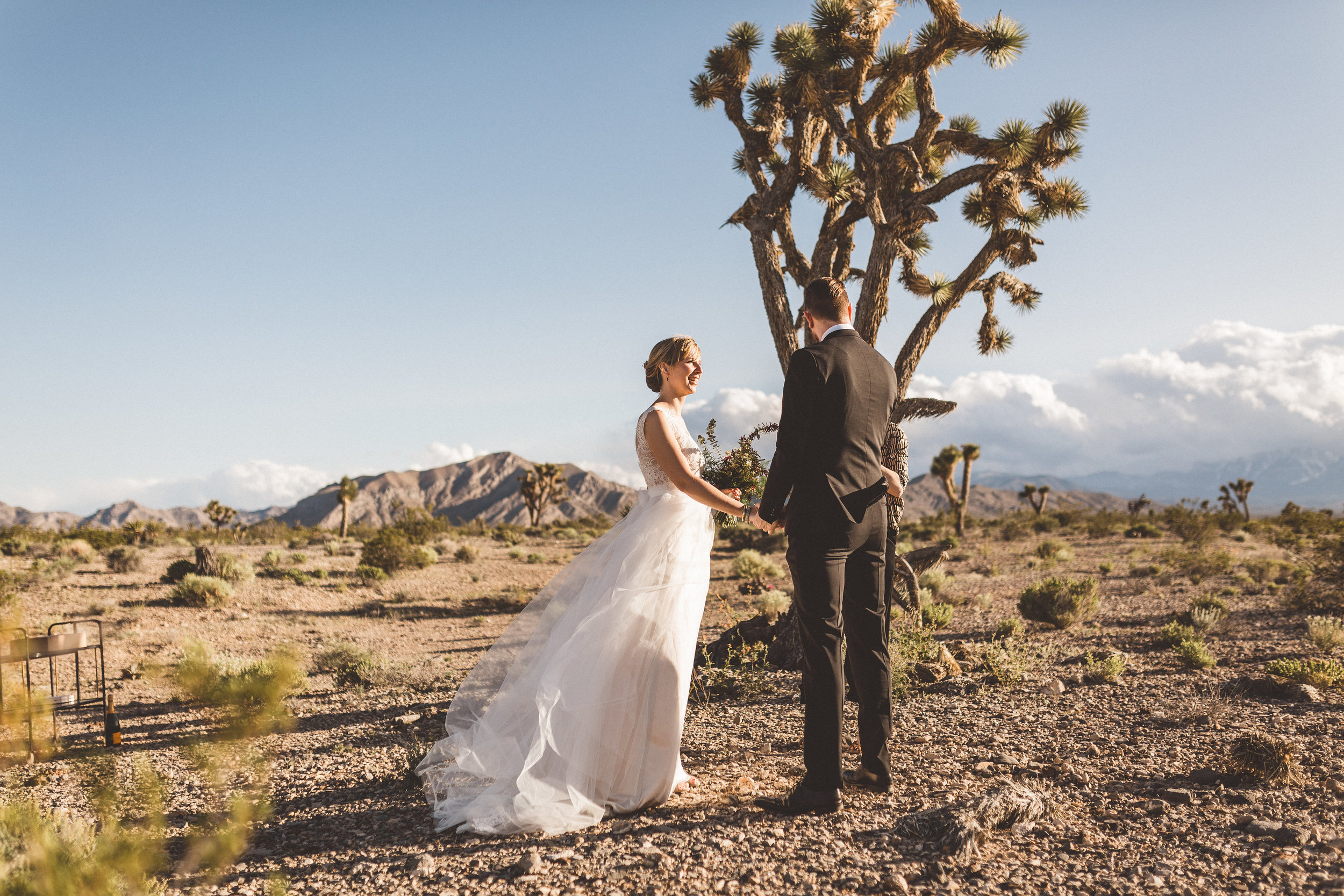 meike-and-rene-las-vegas-desert-elopement2.jpg