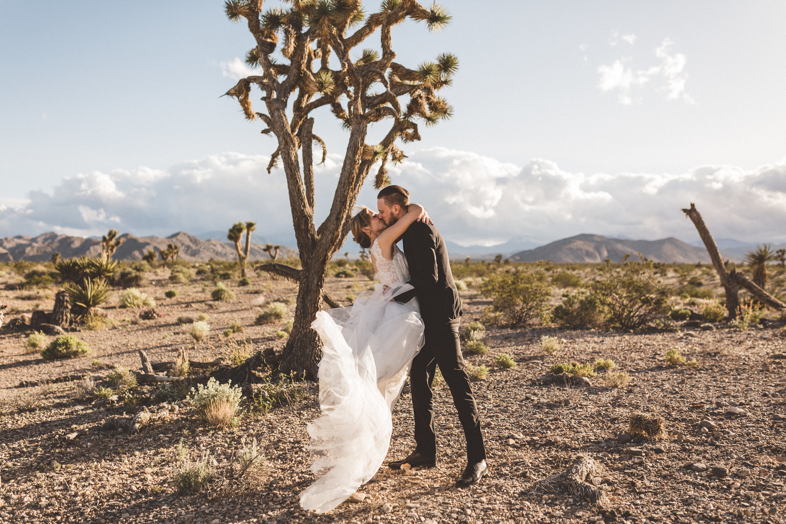 meike-and-rene-las-vegas-desert-elopement5.jpg