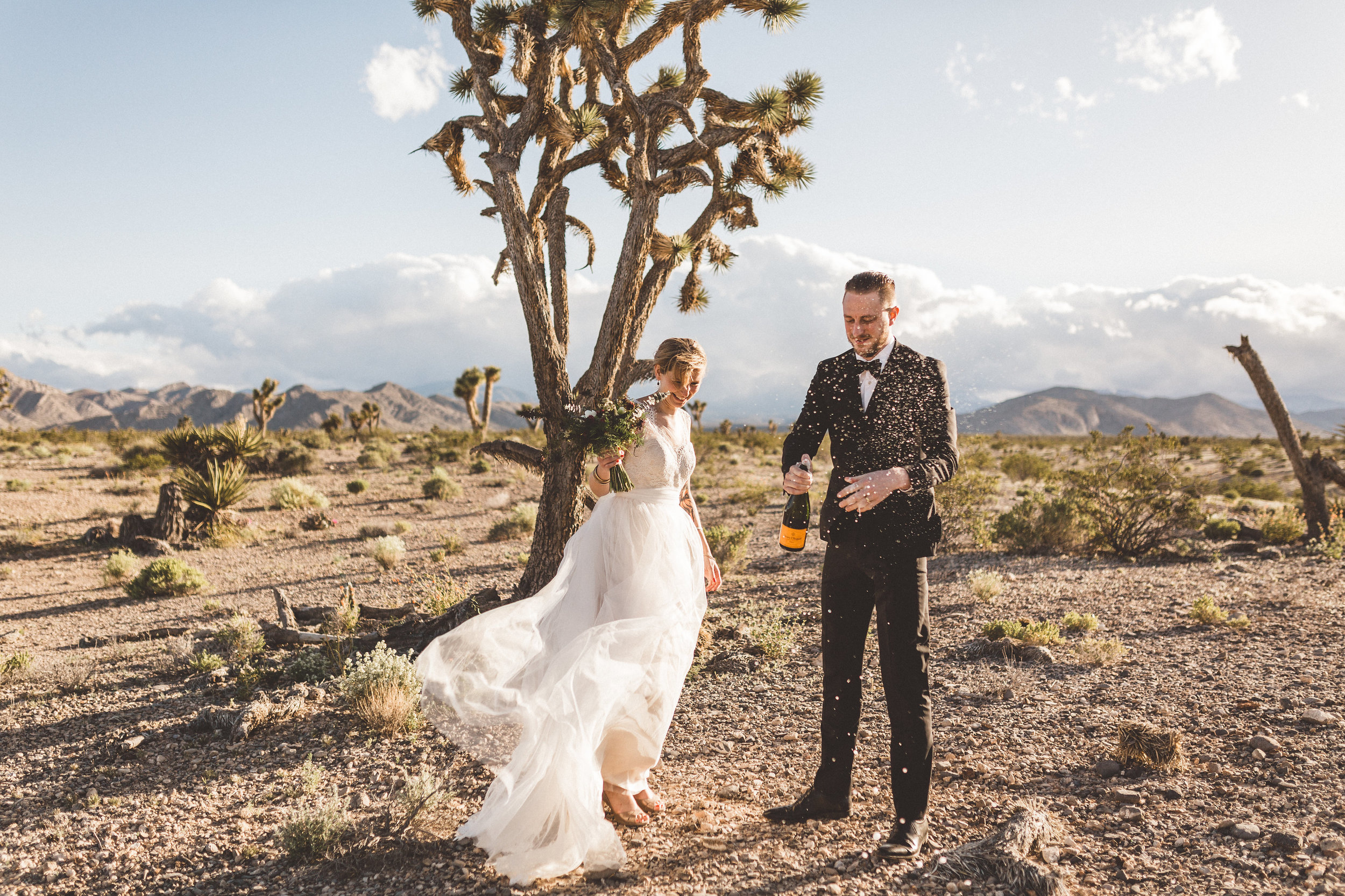 meike-and-rene-las-vegas-desert-elopement6.jpg