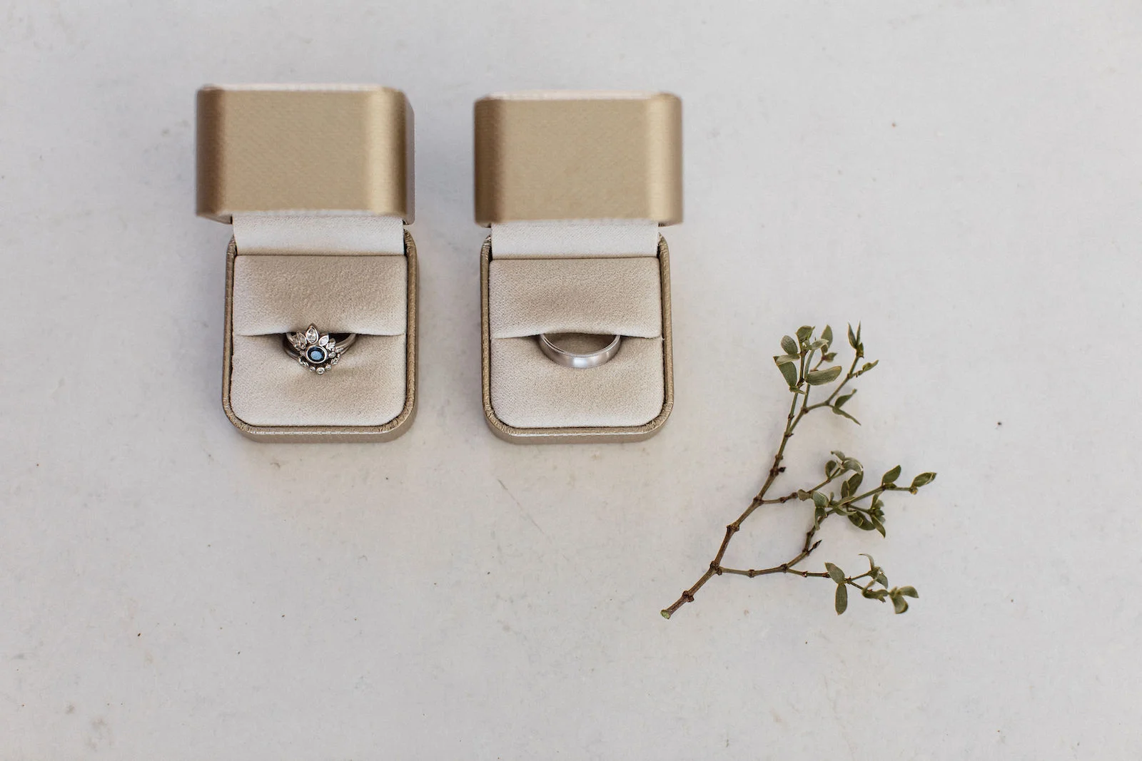 modern-joshua-tree-wedding00039.jpg