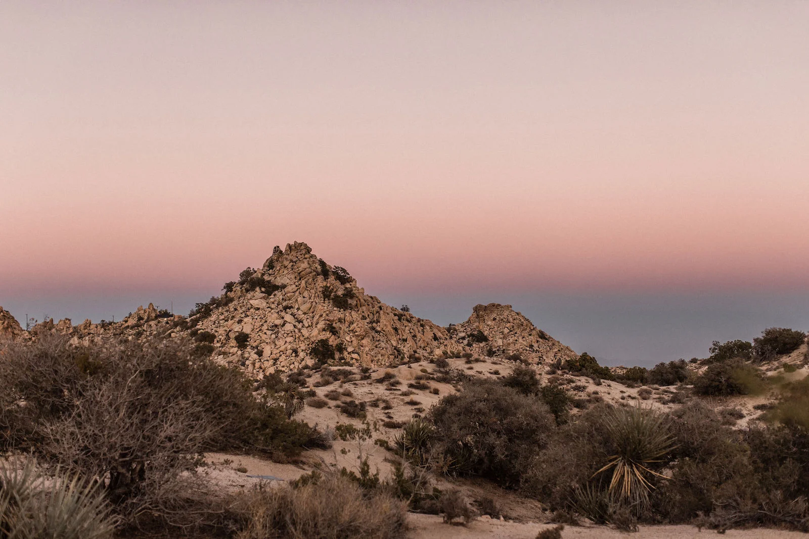 modern-joshua-tree-wedding00031.jpg