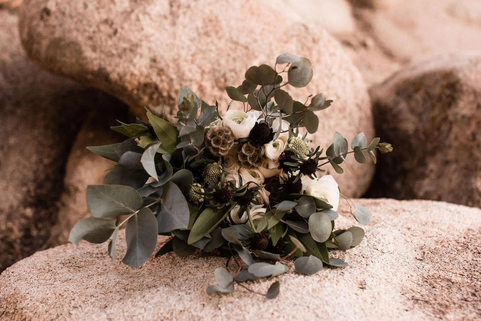 modern-joshua-tree-wedding00032.jpg