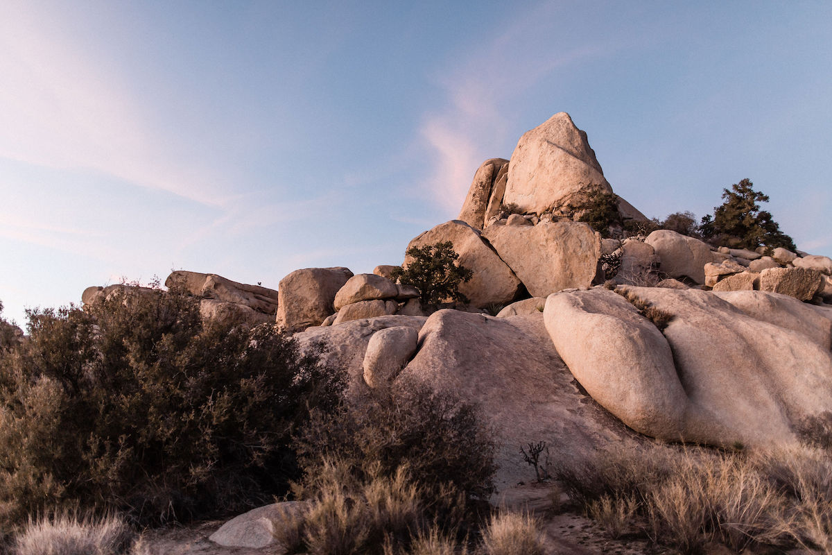 moody joshua tree wedding00010.jpg