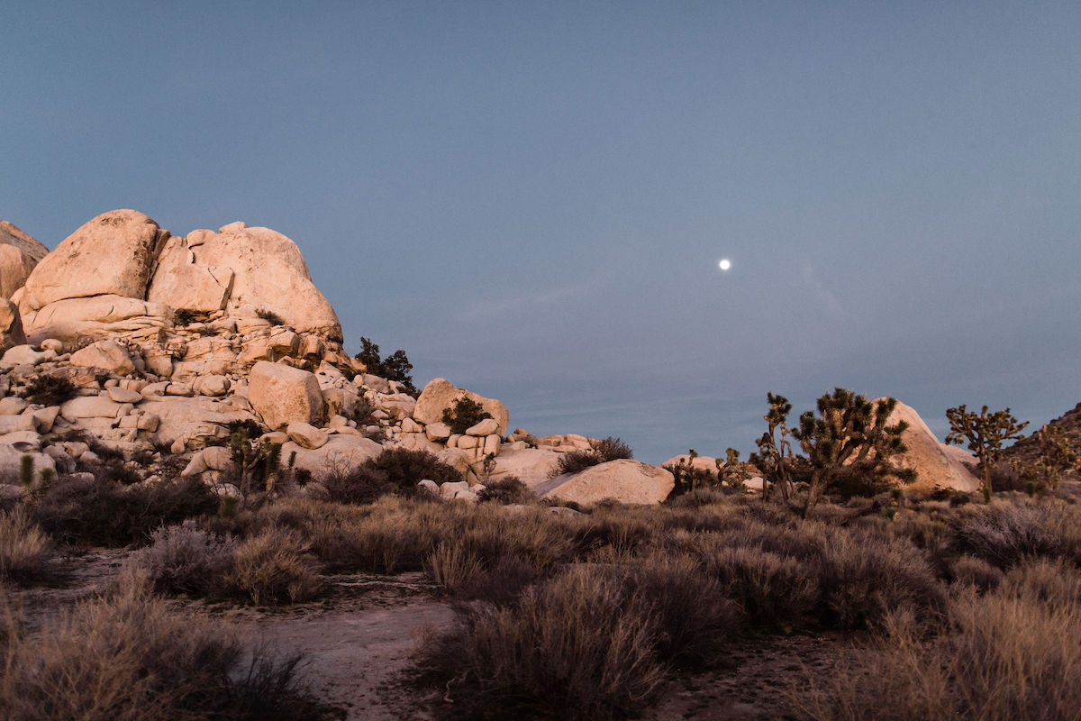 moody joshua tree wedding00011.jpg