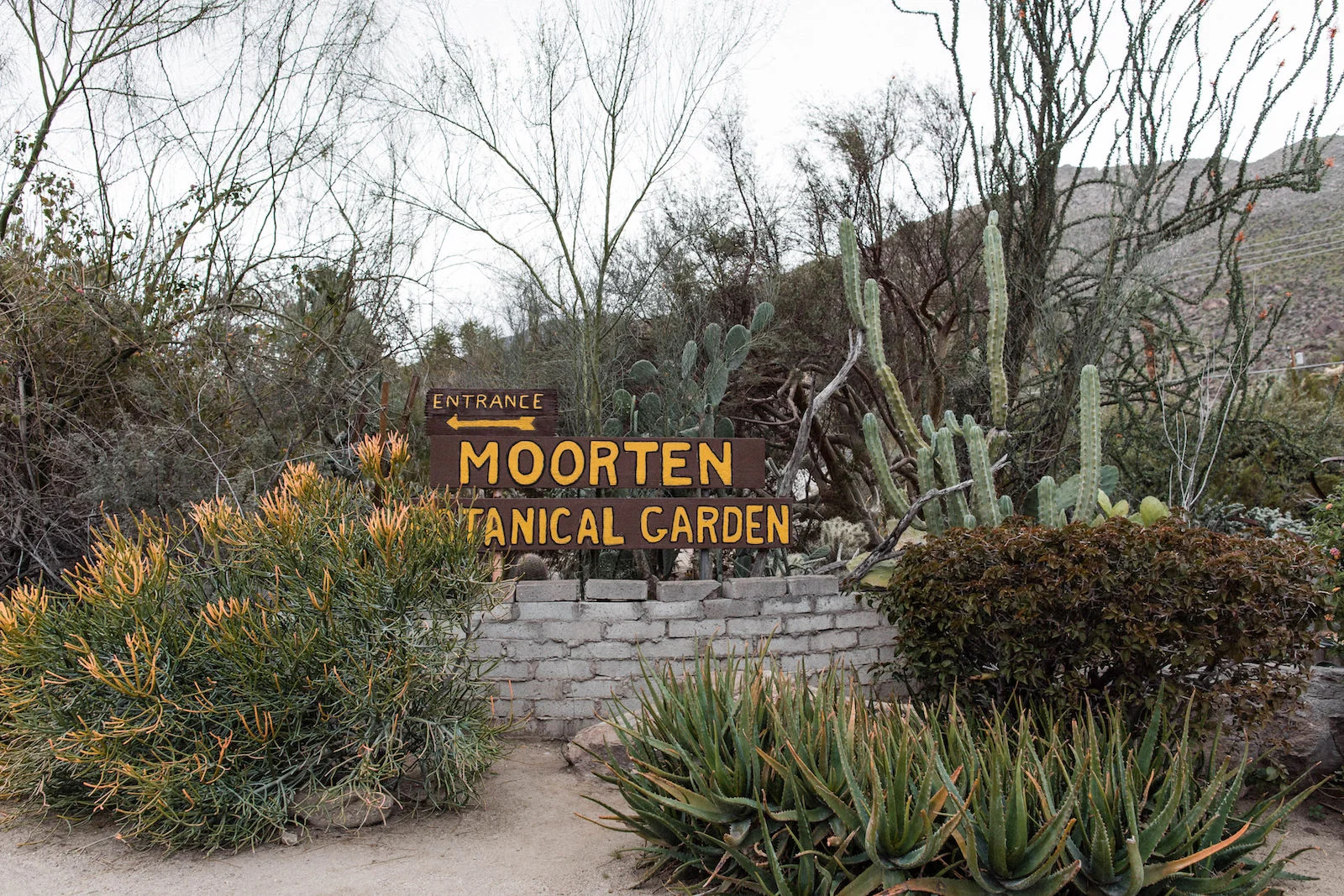 palm springs cactus wedding 00074.jpg