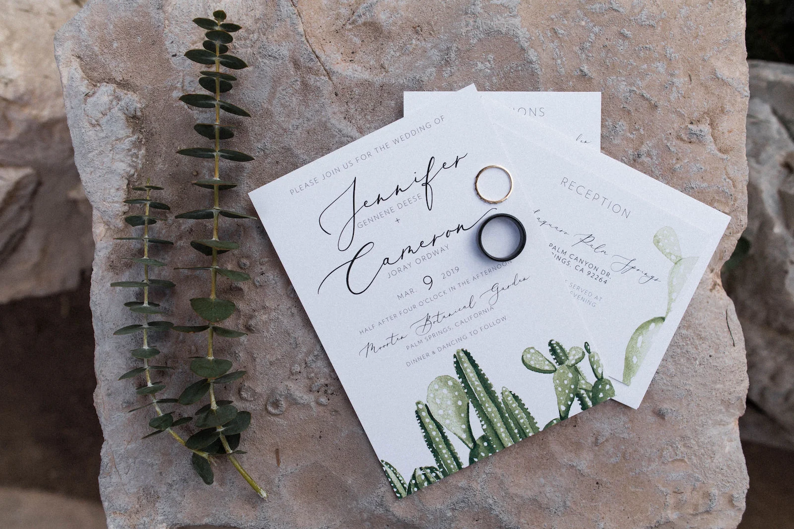 palm springs cactus wedding 00004.jpg