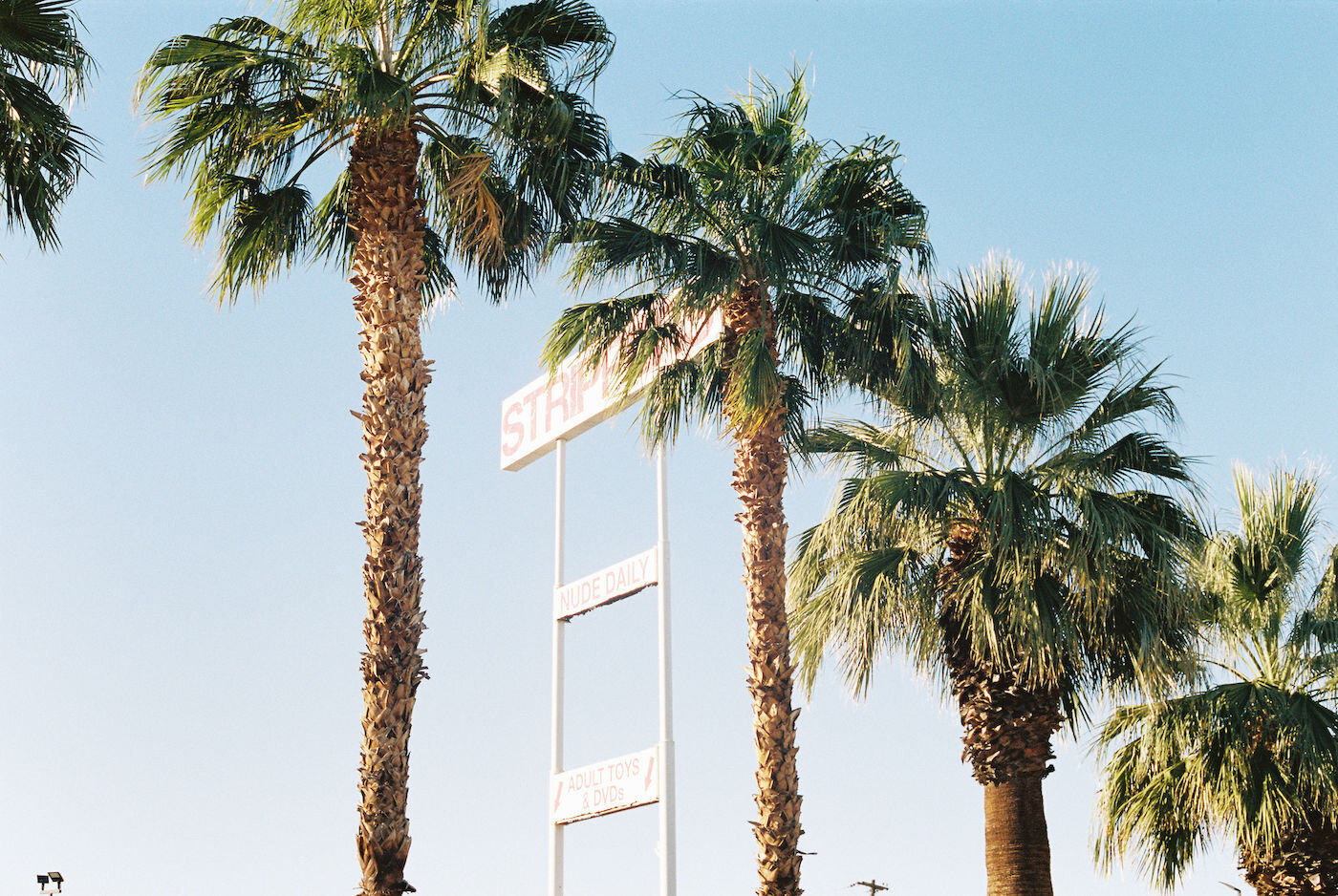 las vegas elopement 00055.jpg