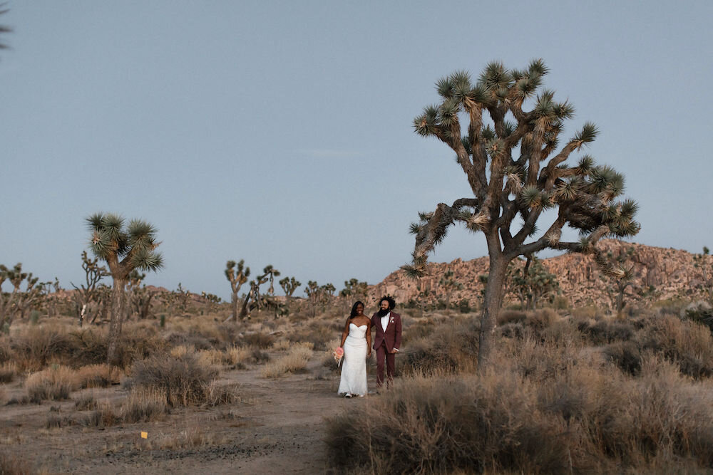 joshua tree elopement photographer flora pop00092.jpg