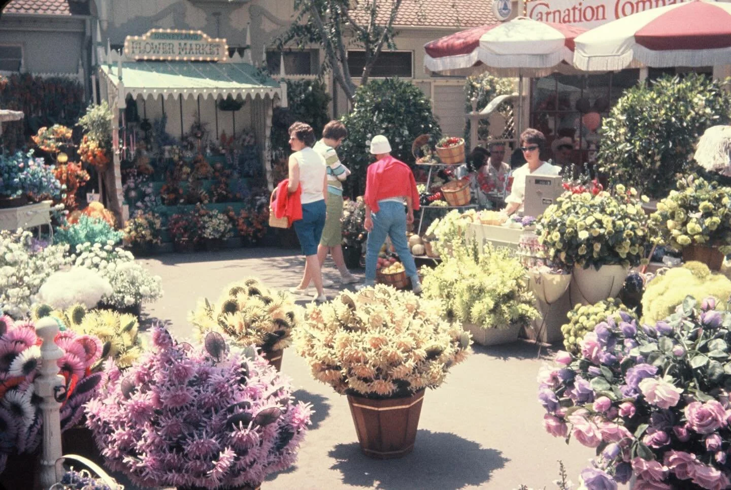 Disneyland Flower Market 1963 🌼 🌹 💐