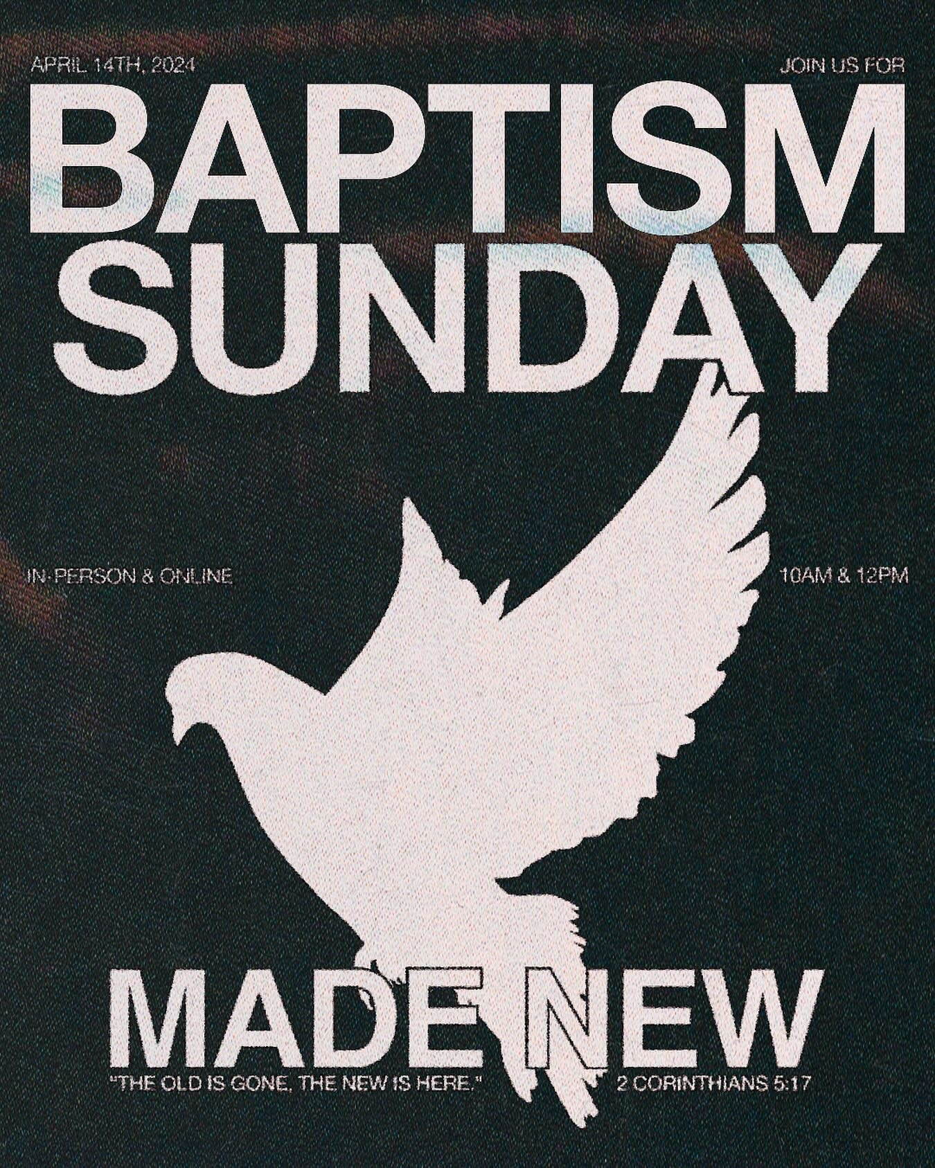 THIS SUNDAY WE ARE CELEBRATING BAPTISM SUNDAY!

The old is gone, the new is here. This is an outward expression of an inward decision! Are you ready to take this next step? Sign up today at bravemiami.com/connect.