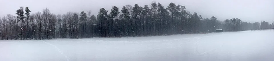 8. A beautiful snow run! ;) 