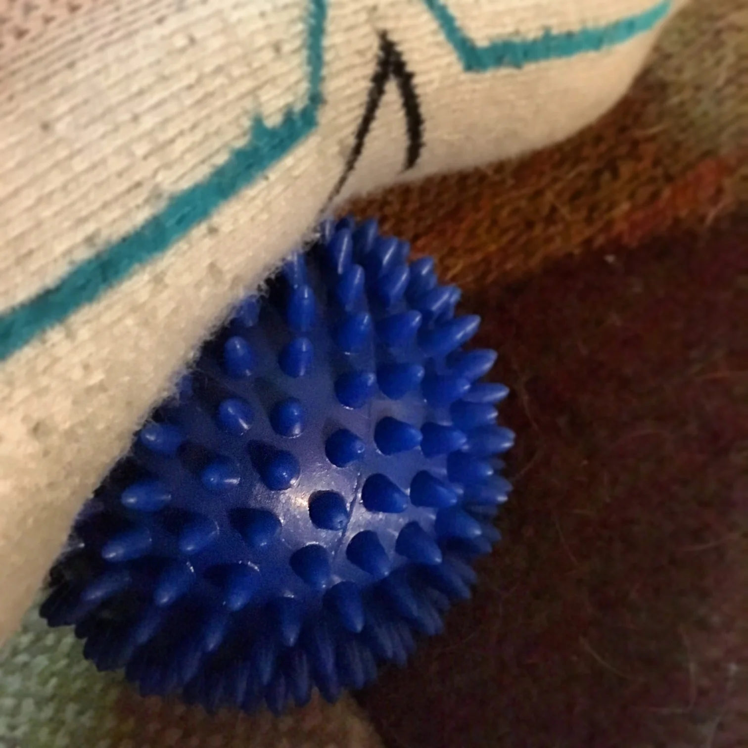My new friend, the spiky ball. 