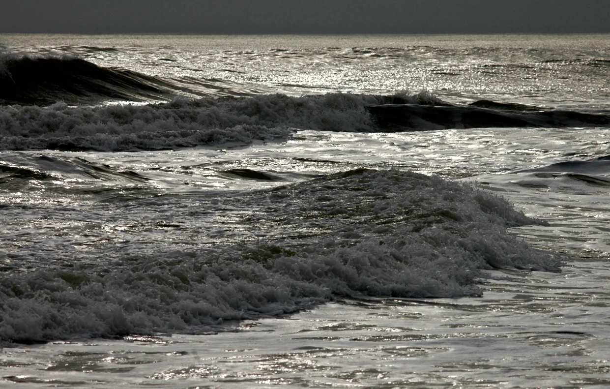 Full Moon Kirtan at Ayurvedas World