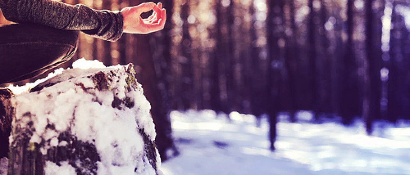 Mid-Winter Yoga Retreat