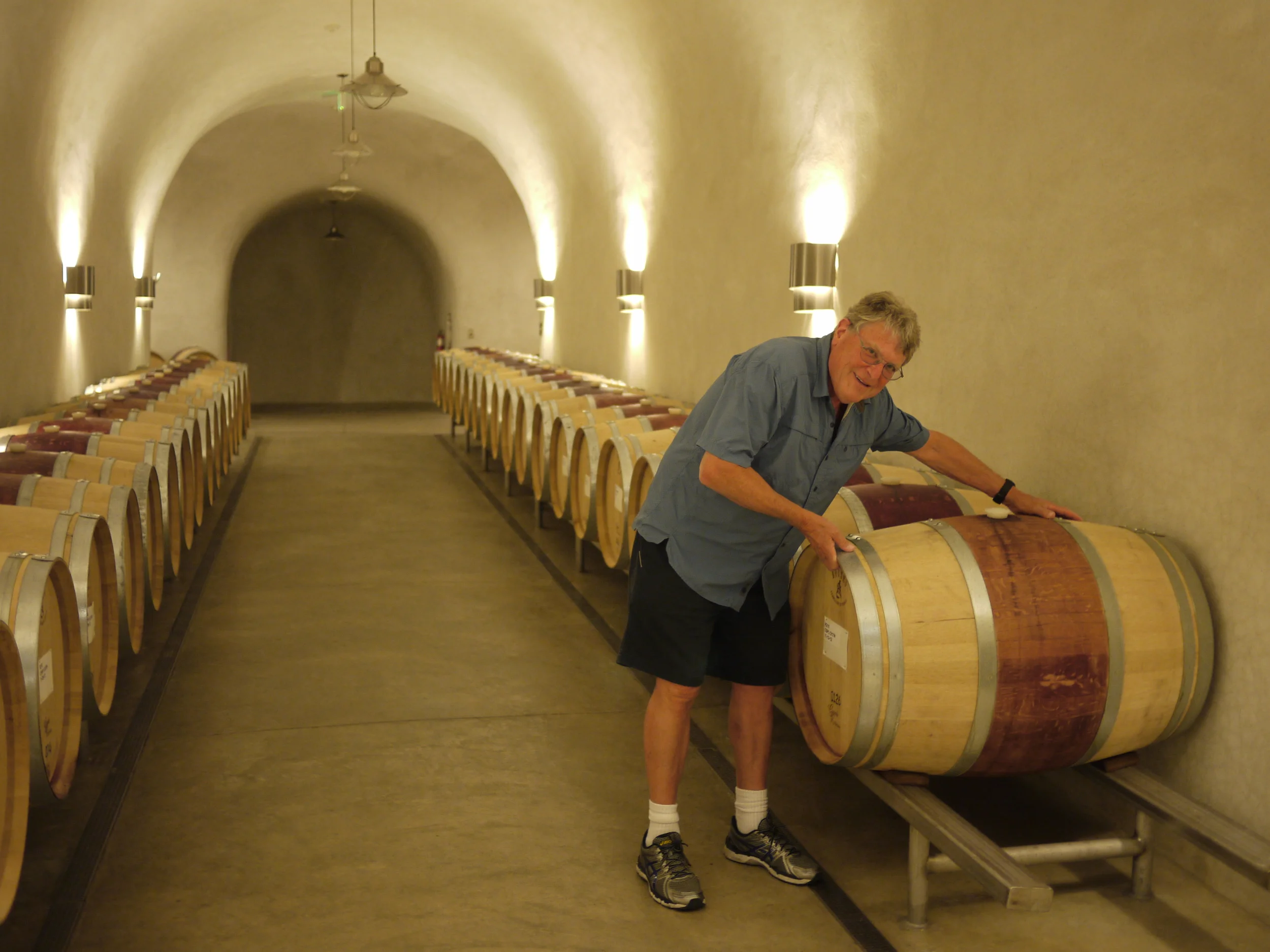 Will this fit in my cellar?