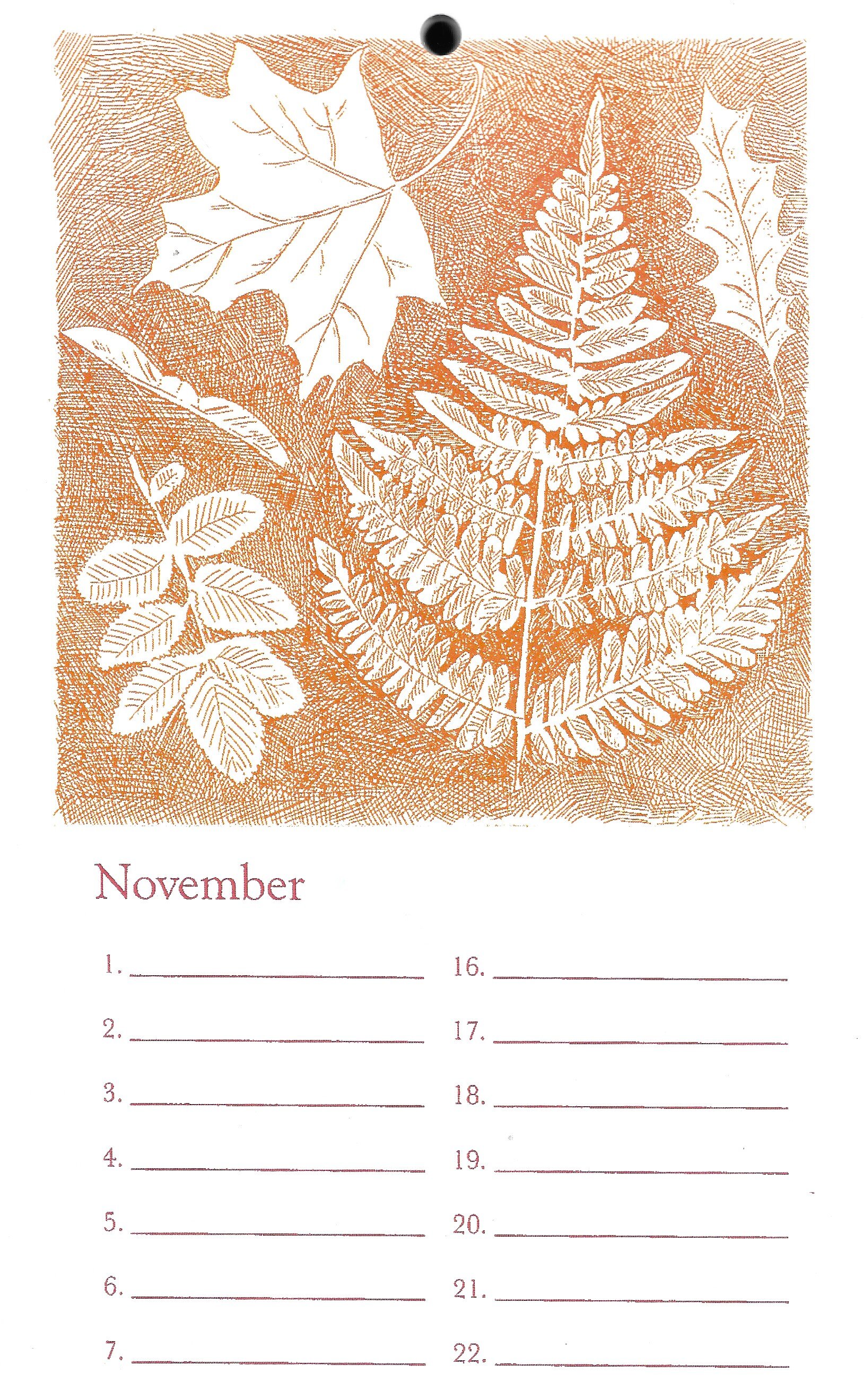 bday: nov  for website 1.jpeg