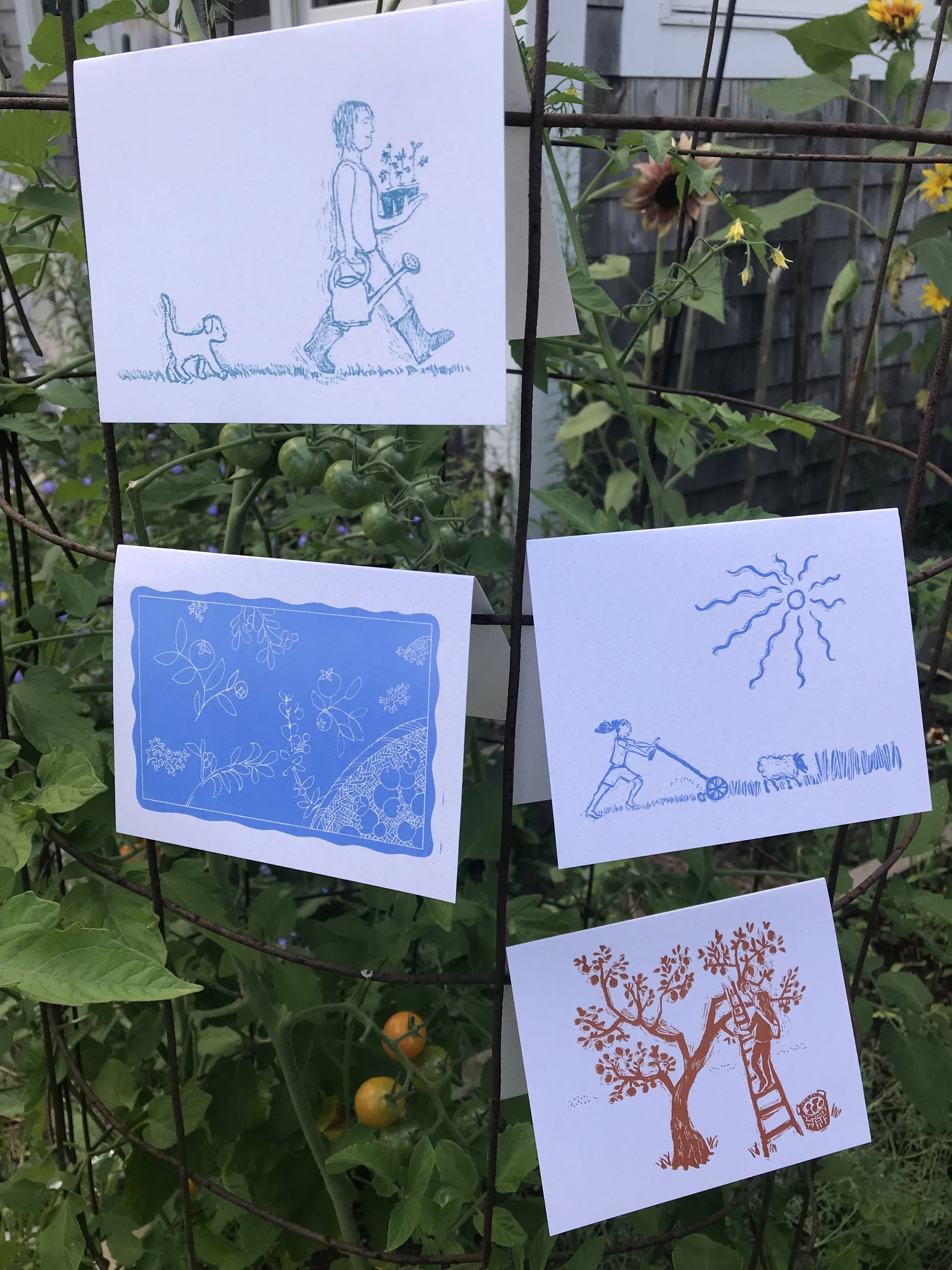 garden cards for website.jpeg