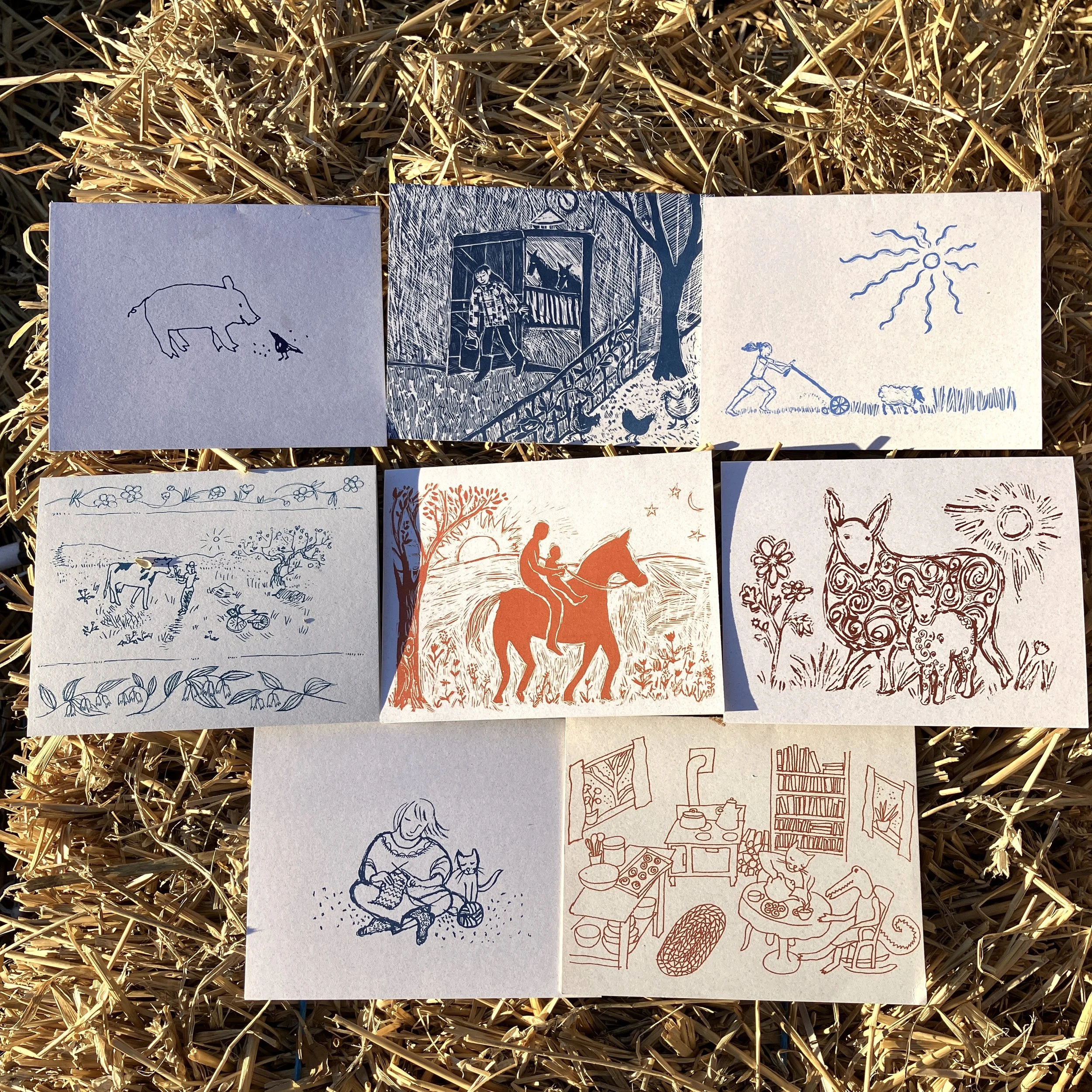 animal cards for webs.jpg