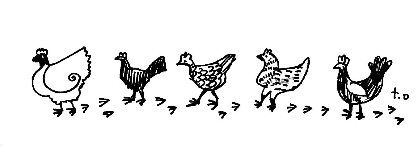chickens.jpeg