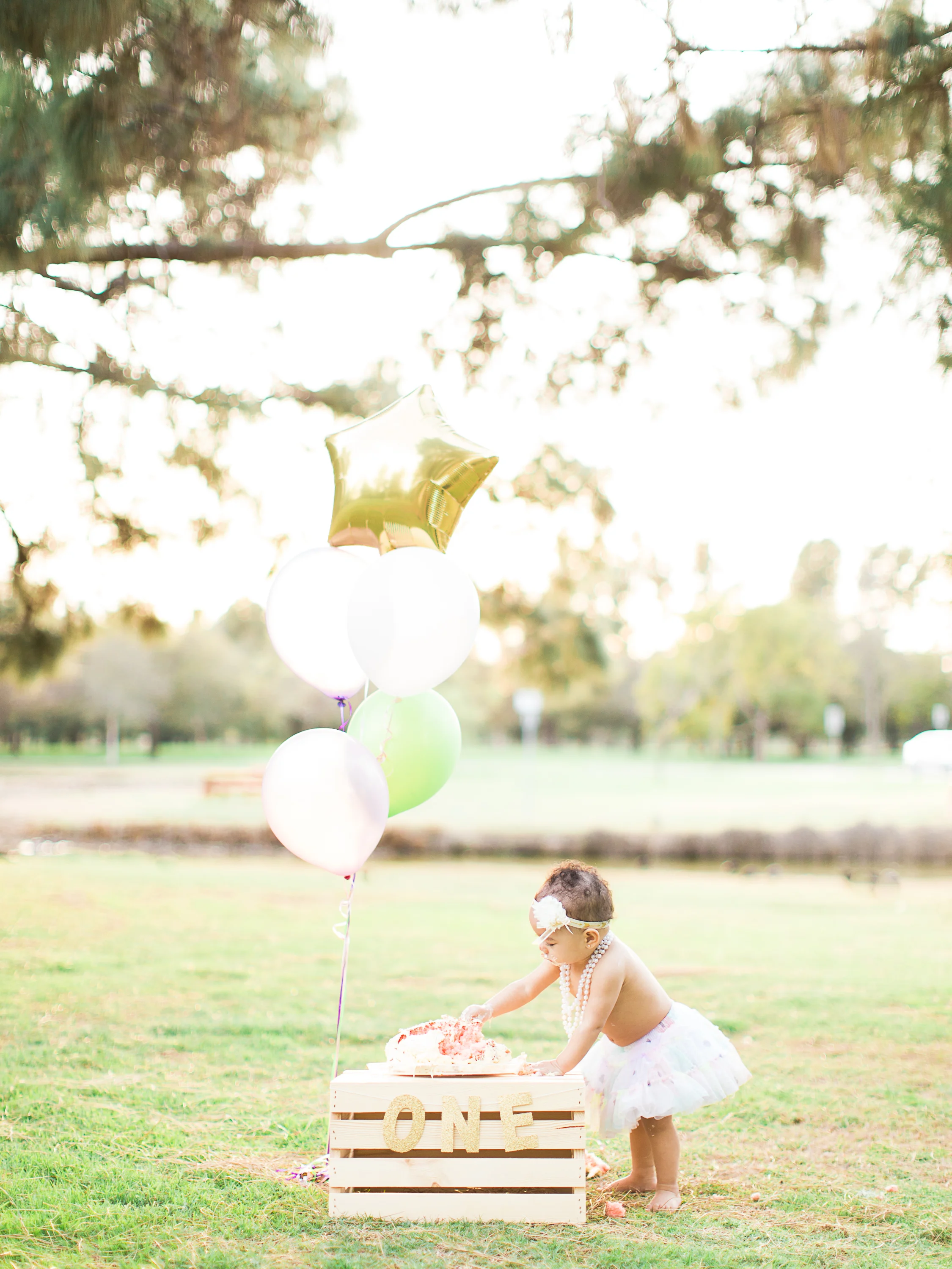 AleiahRei_1stBirthday_Brandon J Ferlin Photography-89.jpg