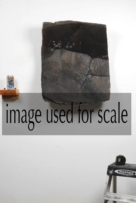 Evans_Black_scale.jpg