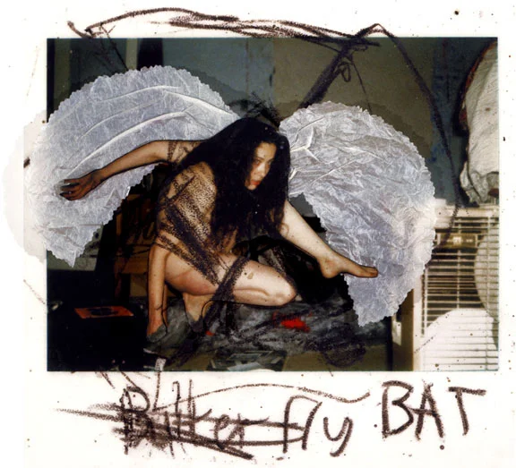 smith_bat_popup.jpg