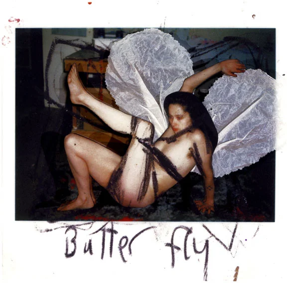 smith_butterfly_popup.jpg