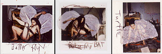 "Butterfly, Bat, Turtle"