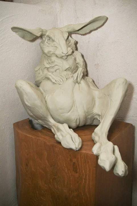 Besser_Stichter_rabbit1_popup.jpg