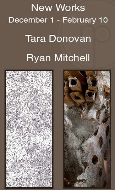 Tara Donovan Ryan Mitchell