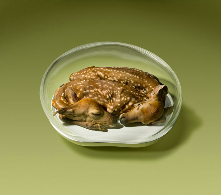 Screen Shot 2014-12-10 at 2.26.48 PM.png