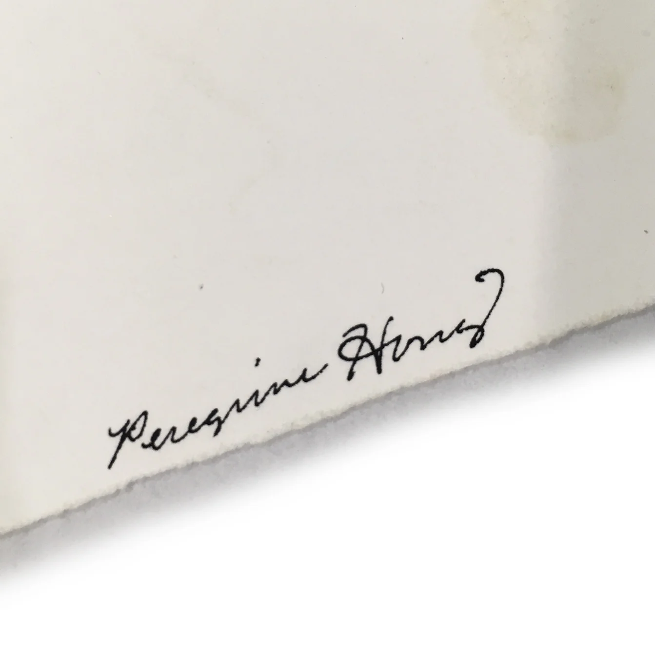 Honig_Nevica_detail_22.jpg