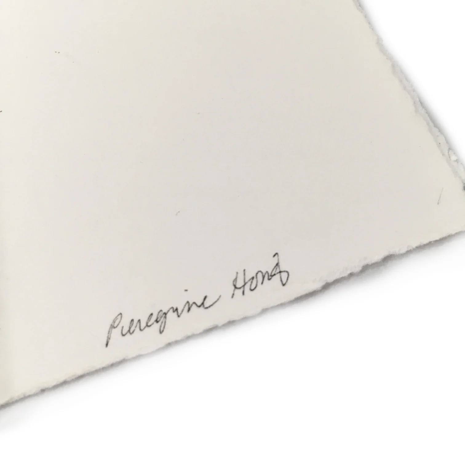 Honig_Nevica_detail_29.jpg