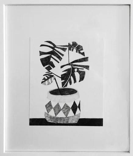 Jonas Wood