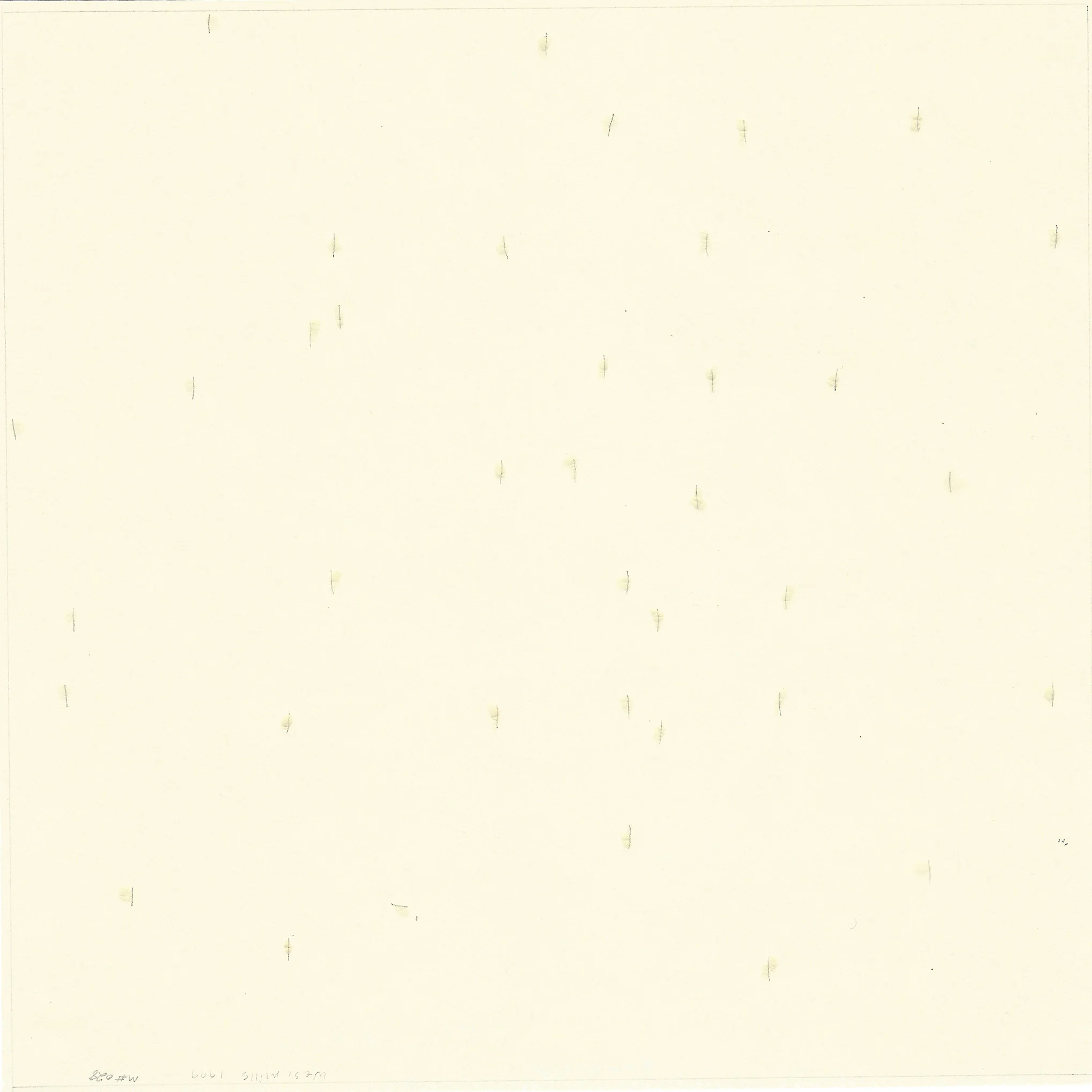 Mills_Nevica_6.13.17_06.jpg