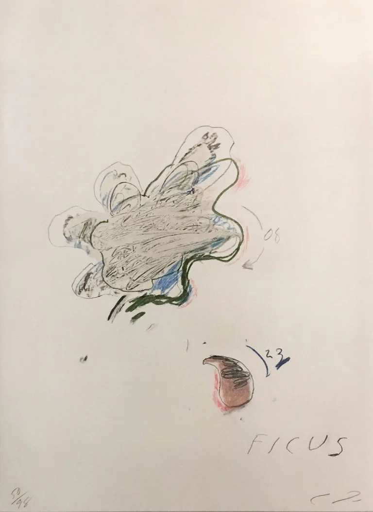 Twombly_Nevica_ficus_01jpg.jpg