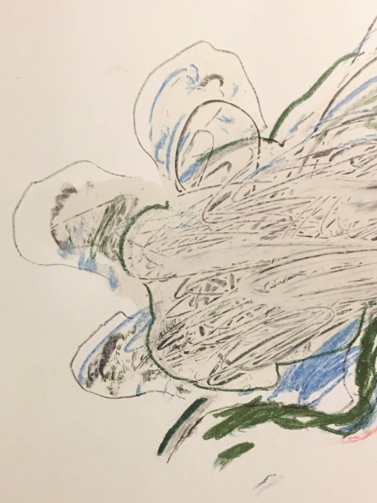 Twombly_Nevica_ficus_02.jpg