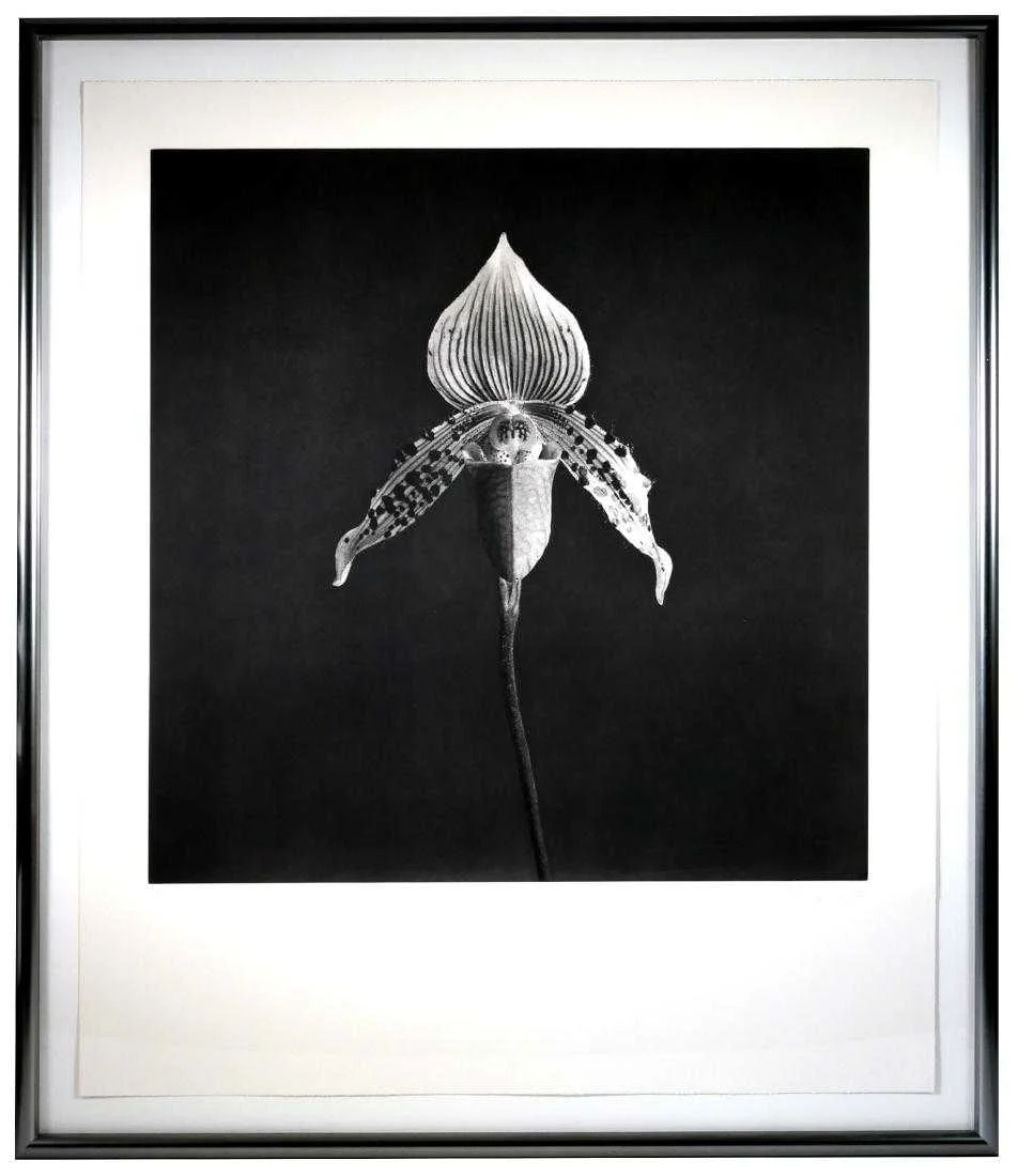 Mapplethorpe.jpg