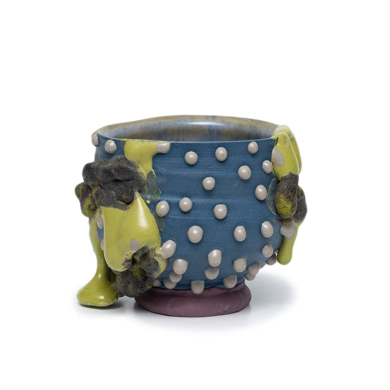 Talitimo (INV. NP2459)