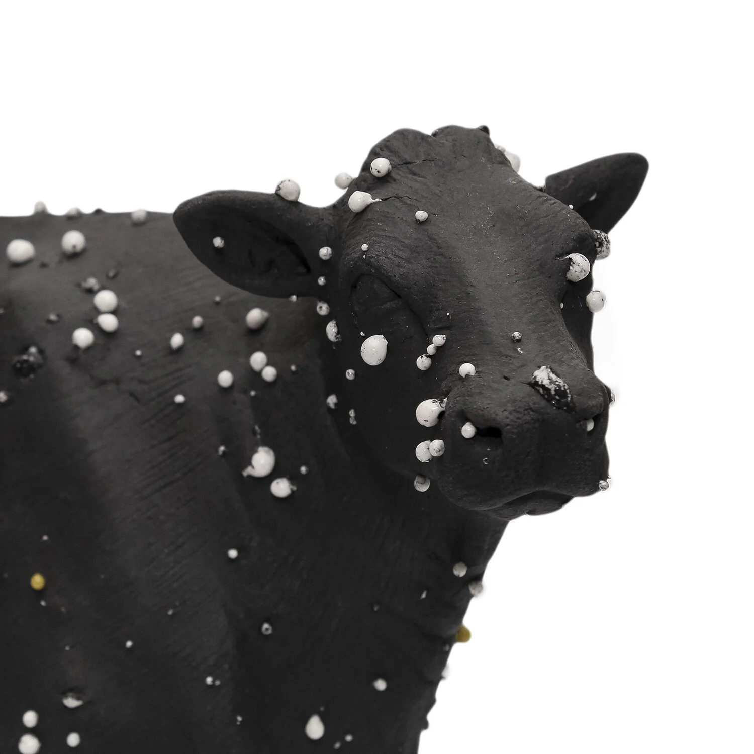 Kayser_SM Black Cow_Nevica_001-web.jpg