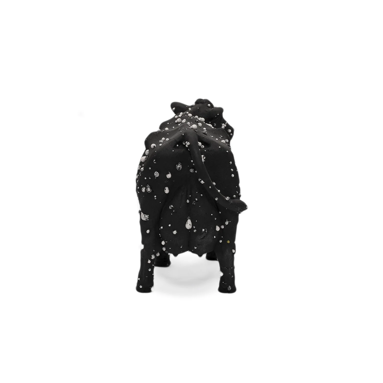Kayser_SM Black Cow_Nevica_005-web.jpg