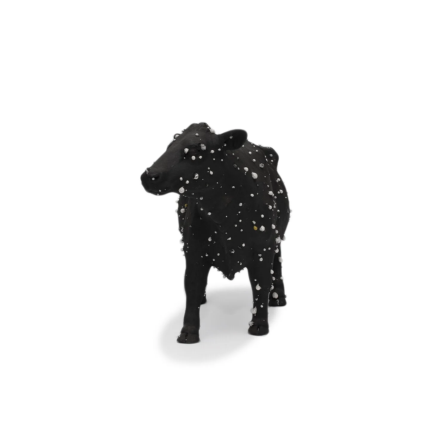 Kayser_SM Black Cow_Nevica_007-web.jpg