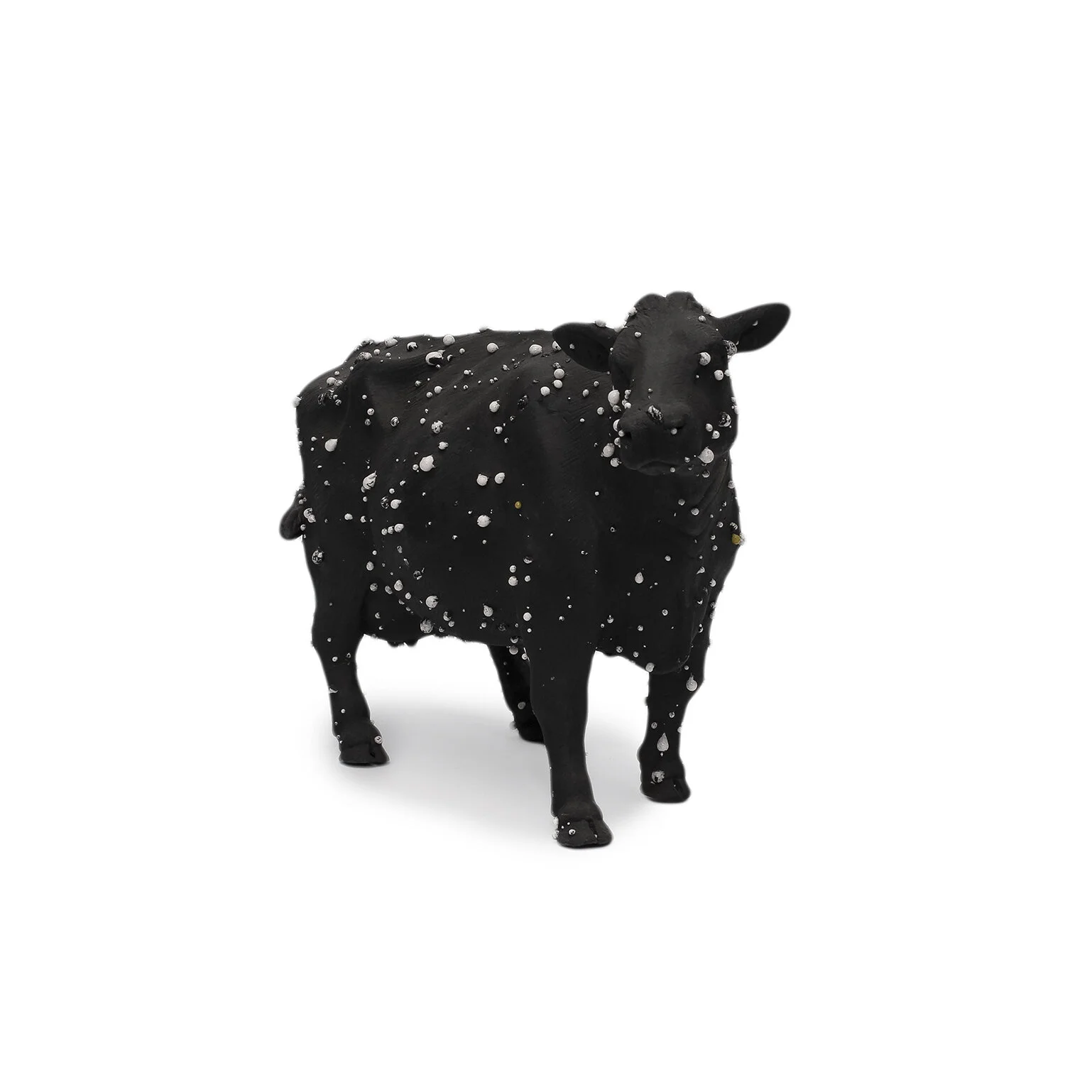 Herd Immunity - Angus  (INV. #NP2547)
