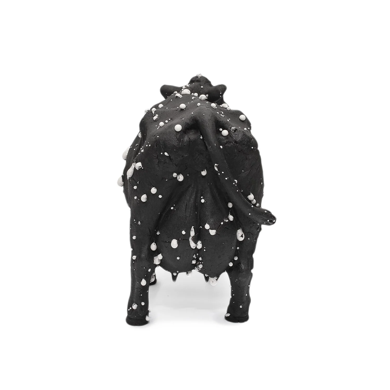 Kayser_Small Black Cow_Nevica_006-web.jpg