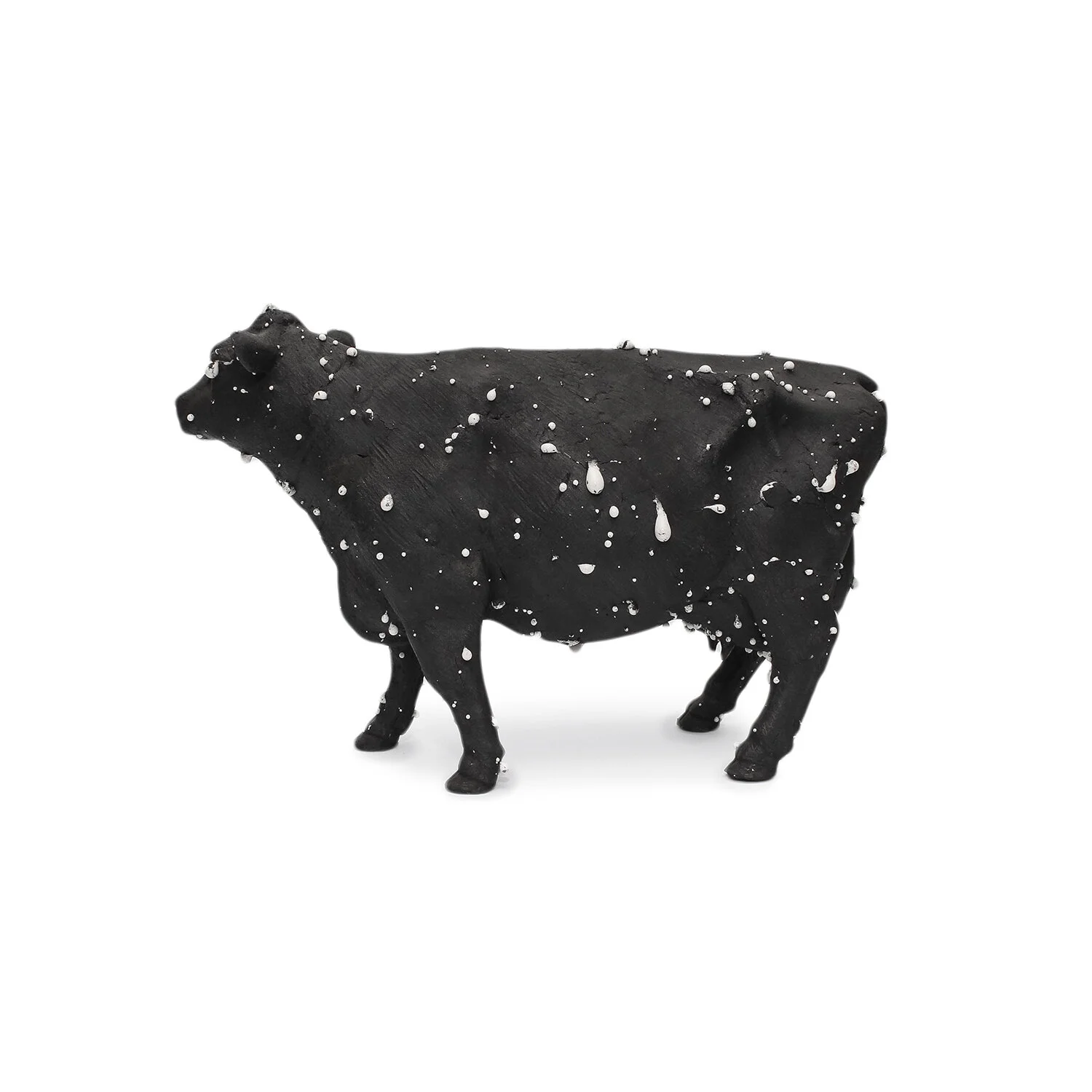 Kayser_Small Black Cow_Nevica_008-web.jpg
