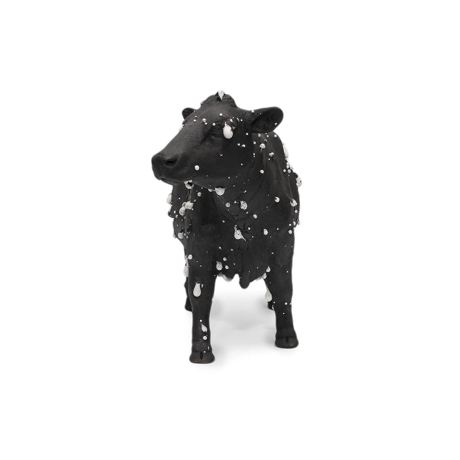 Kayser_Small Black Cow_Nevica_009-web.jpg
